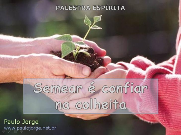 Semear é confiar na colheita